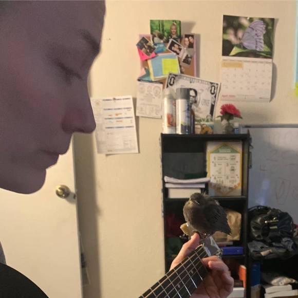 Meet your Posher, Davie - Picture 1 of 8